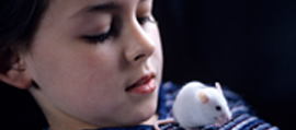 Humangirlmouse