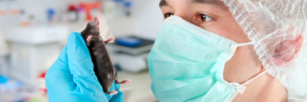 humane treatment of lab animals